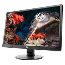 HP V214a 20.7-Inch Full HD 60Hz TN Panel Monitor