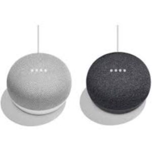 Google home mini