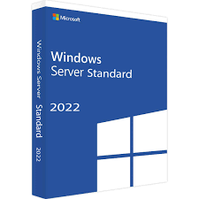 Microsoft Windows Server 2022 Standard Edition CD Key Digital Download