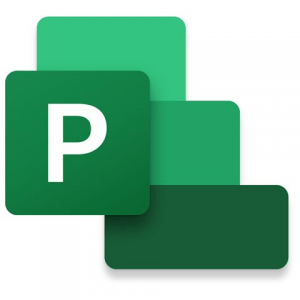 Microsoft Project Professional 2021