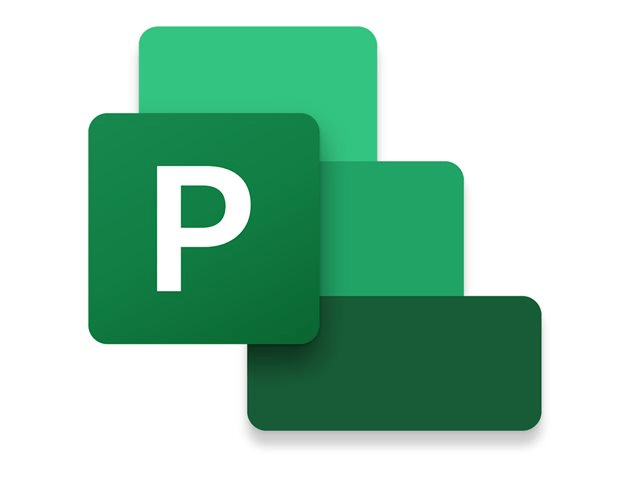 Microsoft Project Professional 2021
