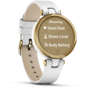 Garmin Lily Smartwatch