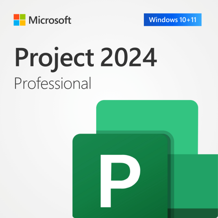 microsoft Project 2024